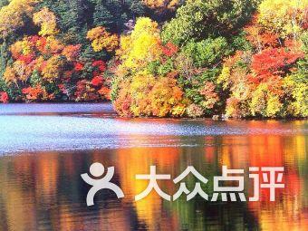贵腐酒十四行 ▏苏忠